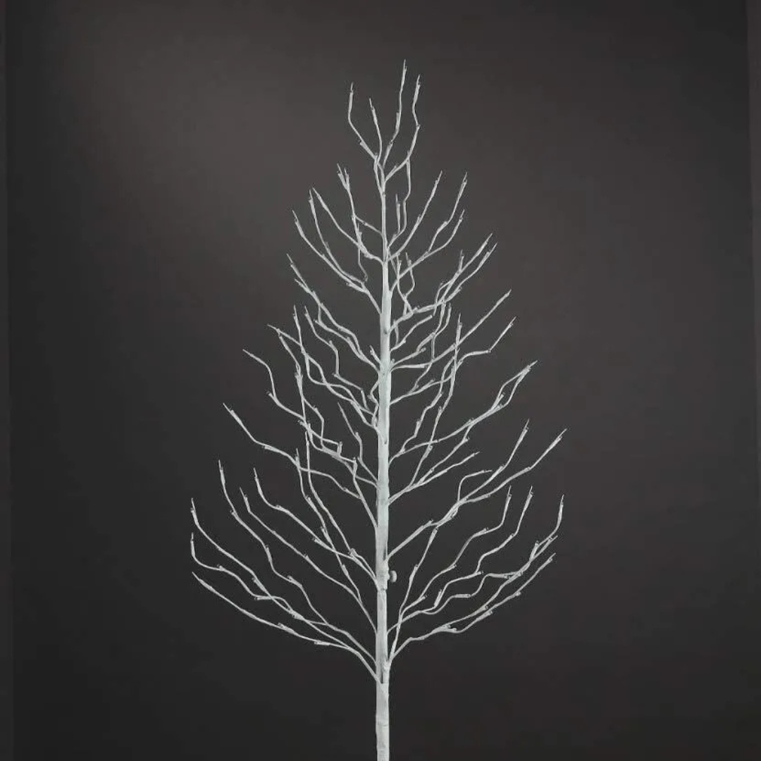 Árvores Brancas Quentes De Bétula iluminada